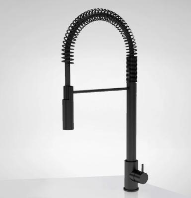 Waterevolution Flow Robinet de bucătărie semiprofesional cu finisaj mat negru cu coloană și arc T157PR