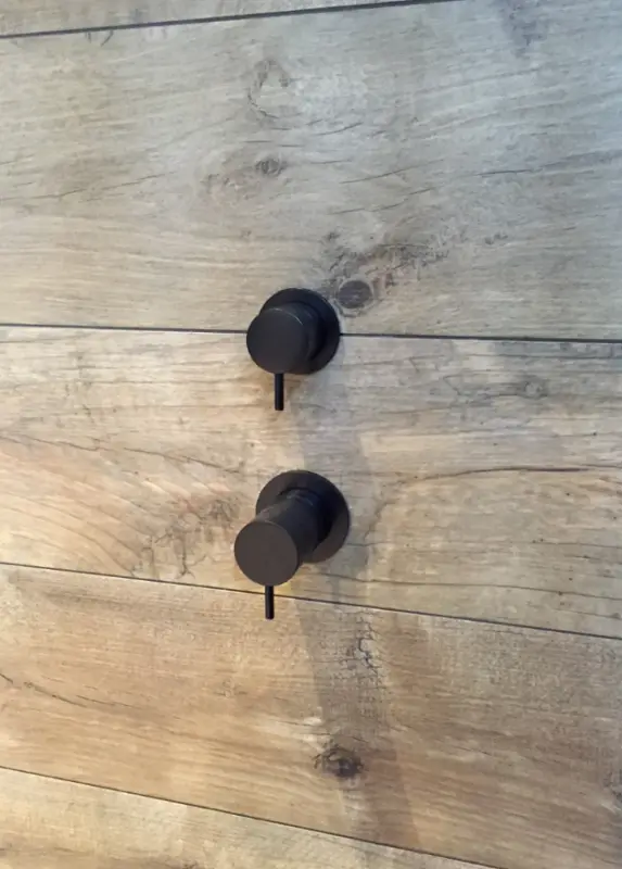 Waterevolution Flow termostat de duș încastrat cu 2 ieșiri, negru mat, cu rozetă rotundă 1208778072