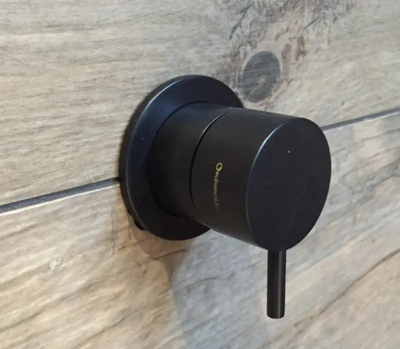 Waterevolution Flow încorporabil 2 cai, cu comutator, negru mat, cu rozetă rotundă T1482SPR.