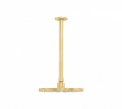 Duşul WaterRevolution Flow de 200 mm, cu conexiune la tavan, în culoarea aurie deschisă T1642WGE.