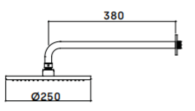 Dușul de perete Waterevolution Flow, cu cap de duș de 250 mm, din oțel inoxidabil, T164125IE.