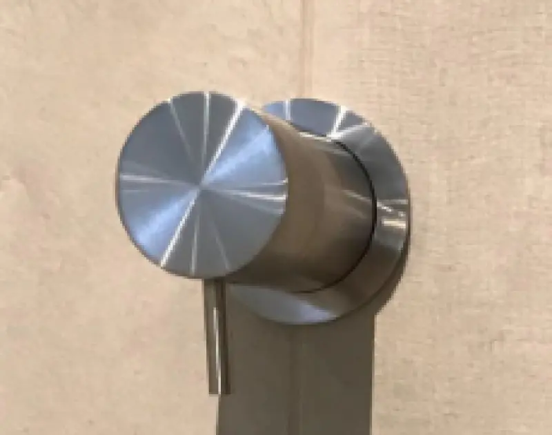 Waterevolution Flow încastrabil, trecător cu 2 căi, din alamă periată, cu rozetă rotundă T1482RLE