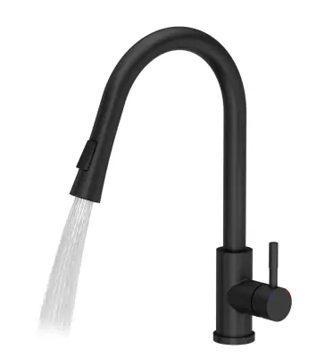 Quadri Leeds Baterie de bucătărie cu duș extensibil cu 2 functii de curgere a apei negru mat 1208955907