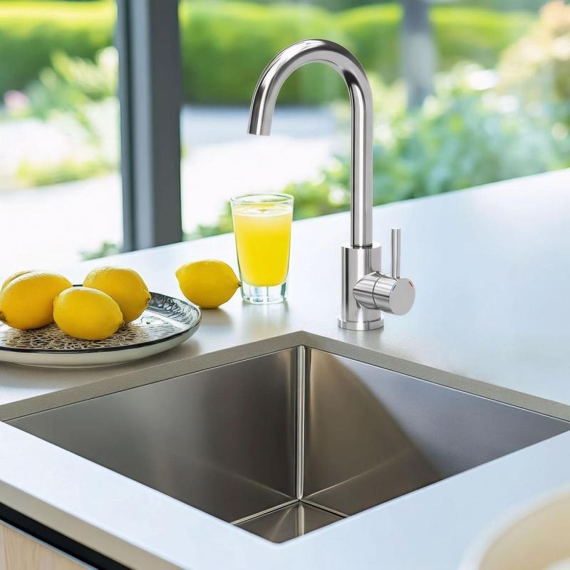 Quadri Coventry Baterie de bucătărie cromat și duză pivotantă 1208956031