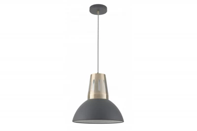 Decorațiunea Artemia, lustră suspendată în culoarea antracit, cu finisaj industrial, cu diametrul de 34,5 cm, 2324.