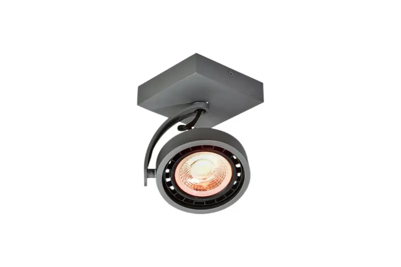 Decorațiunile Wally, plafoniera sau lampa de perete în culoarea antracit, cu cap mobil și o singură sursă de lumină 4281.