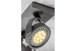 Decorațiunile Wally plafonieră sau lămpă de perete, culoare antracit, cu cap mobil, 2 surse de lumină, 4304.