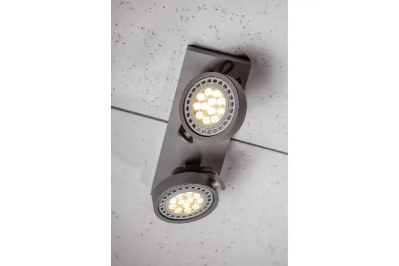 Decorațiunile Wally plafonieră sau lămpă de perete, culoare antracit, cu cap mobil, 2 surse de lumină, 4304.