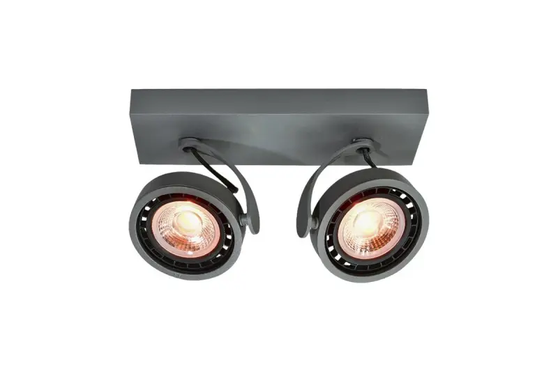 Decorațiunile Wally plafonieră sau lămpă de perete, culoare antracit, cu cap mobil, 2 surse de lumină, 4304.