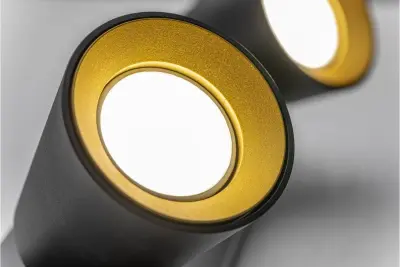 Decor Elli, lustră modernă de tavan, neagră, cu 2 surse de lumină, 4557.