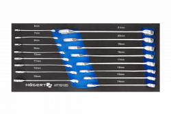 Hoegert Set de chei combinate 16 bucăți, spumă tehnică. 1208962030