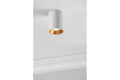 Decor Luminarul de tavan AERO II din aluminiu, 70x100mm, IP20, maxim 20W, rotund, alb. 1208963810