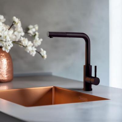 Pure.Sink Elite Steel Spark-S baterie de bucătărie Negru Mat cu duză extensibilă PS8041-10