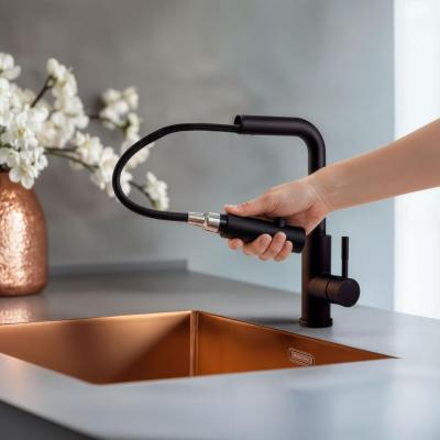 Pure.Sink Elite Steel Spark-S baterie de bucătărie Negru Mat cu duză extensibilă PS8041-10