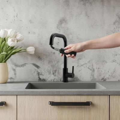 Pure.Sink Elite Steel Crystal-S baterie de bucătărie Negru Mat cu duză extensibilă PS8050-10