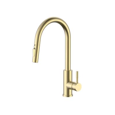 Robinet de bucătărie Pure.Sink Elite Steel Stream-S PVD, aur periat, cu duză extensibilă PS8045-60