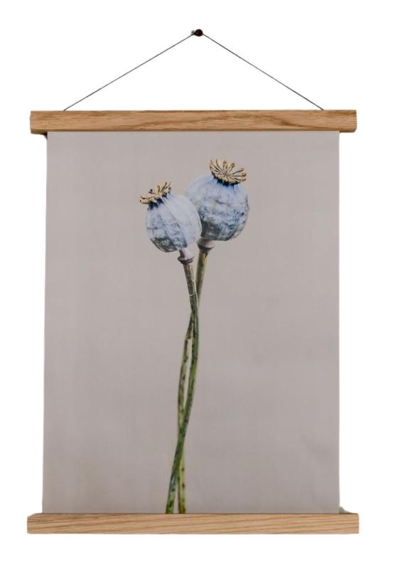 Woodsea Frame S - Rama magnetică de stejar S (A4) 1208971603